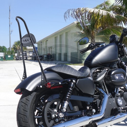 Sissy bar passenger - bar,