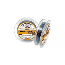 Asso Linea Principale Conica