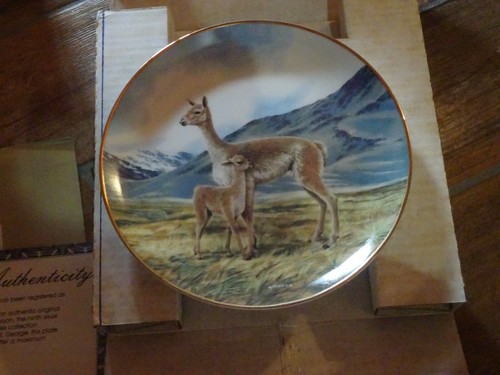 Piatto ceramica artistica made - piatto,