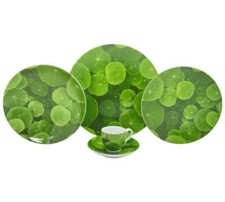 WEISSESTAL SERVIZIO PIATTI 48