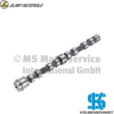 ALBERO A CAMME 50007047 PER