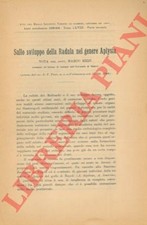 RIZZI Marco - Sullo sviluppo della Radula nel genere Aplysia.