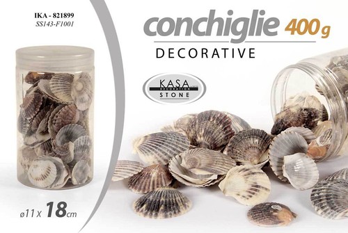 Conchiglie marine decorative - conchiglie,
