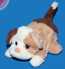 PELLICCIA VERI AMICI