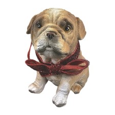 Bulldog Cucciolo Cane