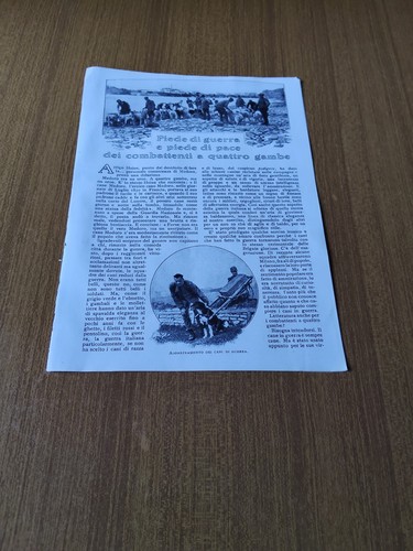 1919 combattenti cani - 1919, i