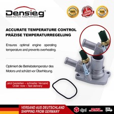 Densieg Cartuccia Termostato