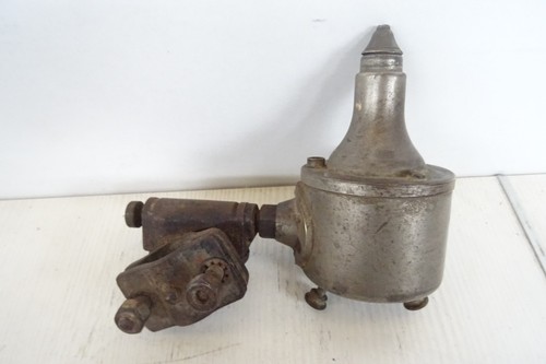Dinamo bulli made in - 6, w