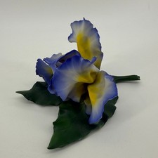 Vintage Blue Yellow Iris Fabar