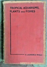 UK RARO ACQUARIO TROPICALE