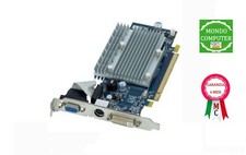 SCHEDA GRAFICA PCI EXPRESS