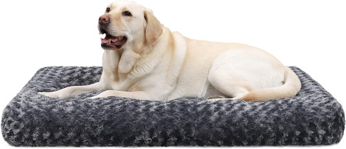 Cuscino per cani - cuscino,