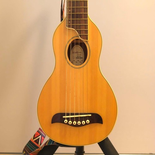 Chitarra viaggio washburn - chitarra,