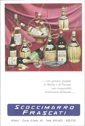 Ap439 cartolina frascati - cartolina,