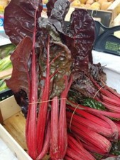 400 SEMI DI BIETOLA DA COSTE ROSSE-BIETOLA da Coste Rhubard Chard