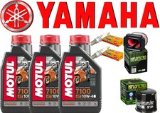 TAGLIANDO YAMAHA TENERE 700