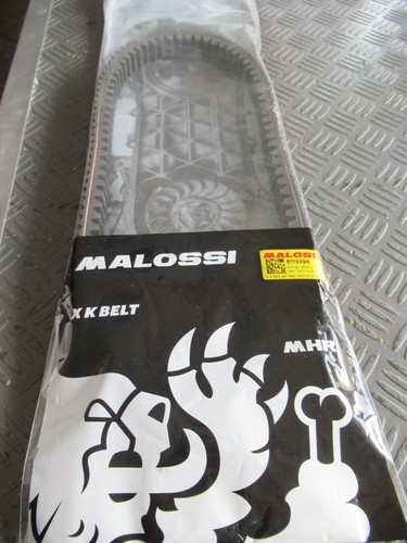 Malossi 6113396 cinghia - malossi,