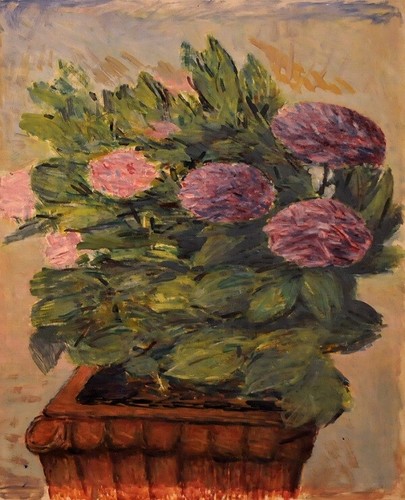 Giovanni malesci ortensie - giovanni, malesci,