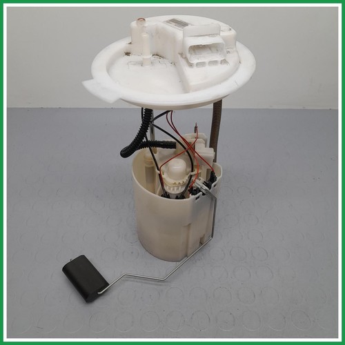 Pompa carburante elettrica - carburante,