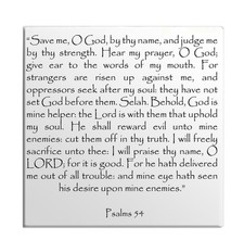 Calamita Frigo Salmi Capitolo