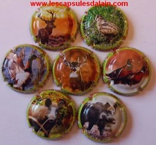 Belles capsules champagne - 7,