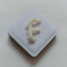 Ramo di corallo bianco marino