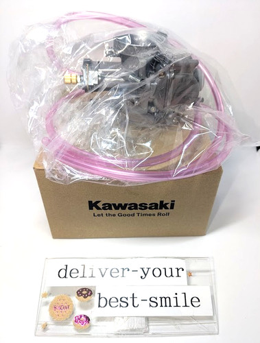 Carburatore kawasaki oem - carburatore,