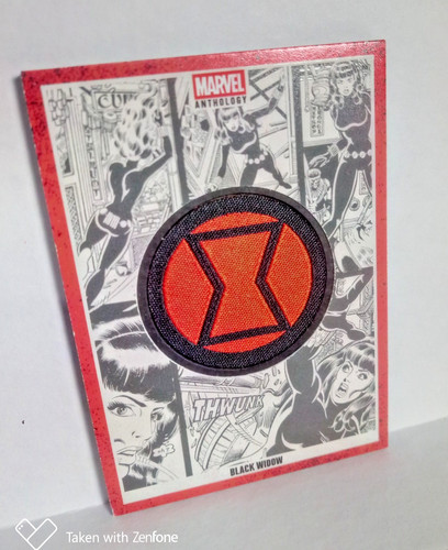 Panini marvel anthology - marvel,