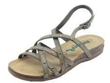 BioNatura 34A2249B Gaucho Oil