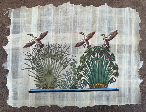 Autentico papyrus egiziano - autentico,