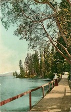 Cartolina d'epoca Mitchell 840