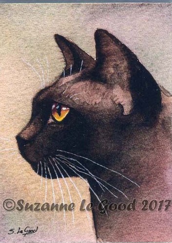 Aceo brown burmese cat mounted - burmese,