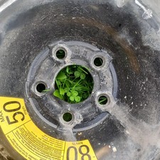 Ruotino di scorta 18