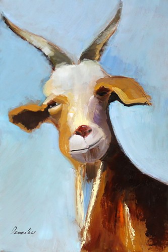Capra arte collezione - capra, da