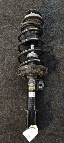 72119117 ammortizzatore ant - 72119117,
