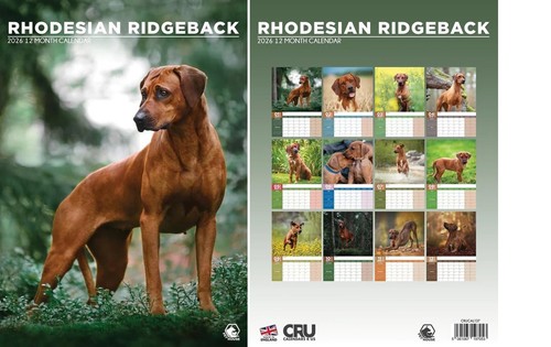 Rhodesian ridgeback 2026 - ridgeback,