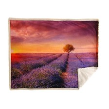 Plaid Caleffi Lavender Sunset