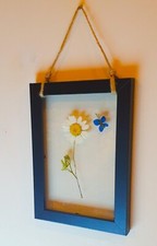 Arte floreale pressata nuova