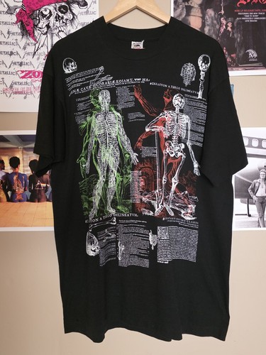 1989 anatomical skeleton - 1989,
