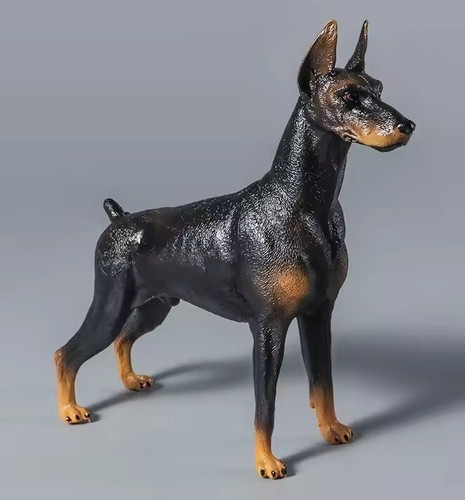 Doberman cane animale
