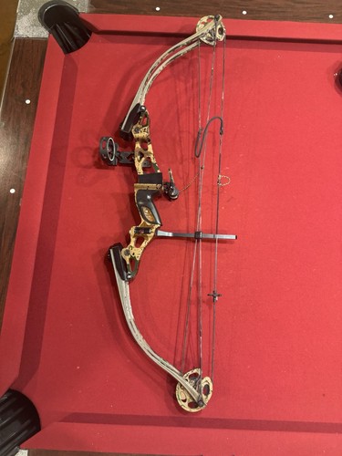 Hoyt tenacity carbonite - hoyt,
