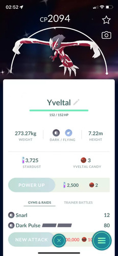 Pokémon shiny yveltal p t - shiny,