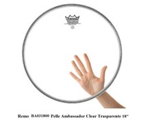Remo BA031800 Ambassador Clear