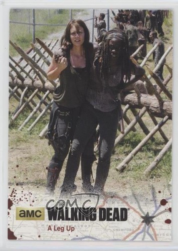 2016 cryptozoic the walking - 2016,