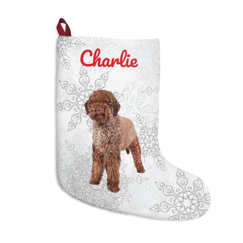 Calza lagotto romagnolo regalo - calza,