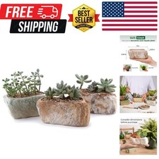 Versatili vasi succulenti in