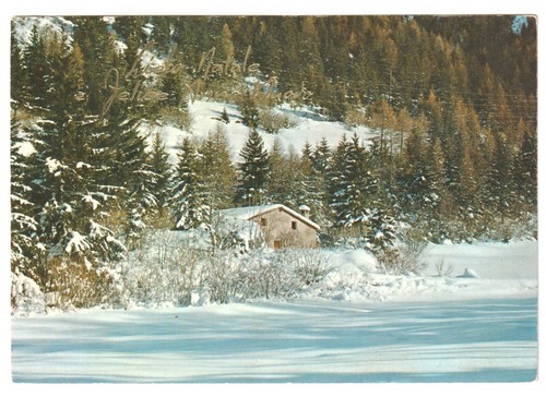 1974 foto cartolina - , vintage