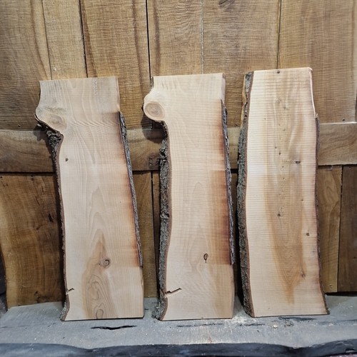Lastre cedro live edge - , di