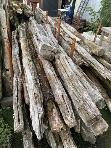 Antichissime travi rovere - antichissime,