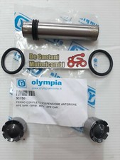 REVISIONE SOSPENSIONE PERNO